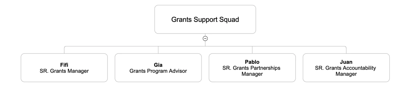 Grants Support Squad